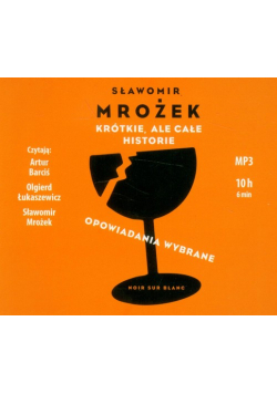 Krótkie, ale całe historie, Audiobook