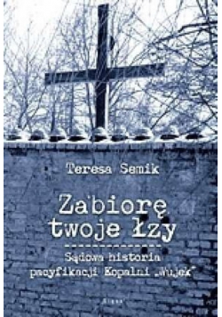 Zabiorę twoje łzy