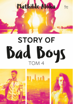 Story of Bad Boys 4