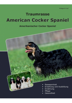 Traumrasse American Cocker Spaniel