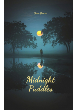 Midnight Puddles