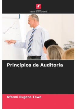 Princípios de Auditoria