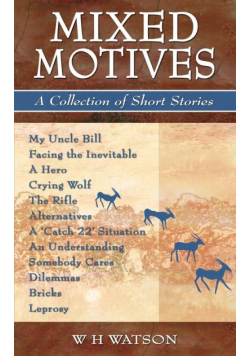 Mixed Motives