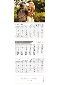 Kalendarz 2020 Trójdzielny Amazonka CRUX