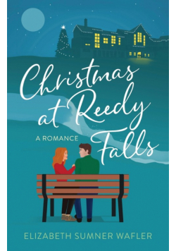 Christmas at Reedy Falls