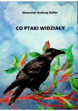 Co ptaki widziały