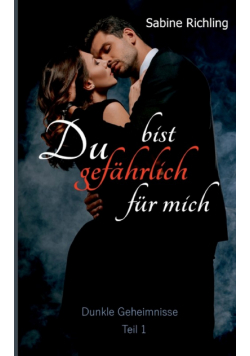 Du bist gefährlich für mich - Dunkle Geheimnisse Teil 1 von 4