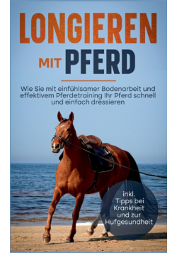 Longieren mit Pferd