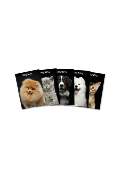 Brulion A4/96K kratka Kitty&Dog (5szt)