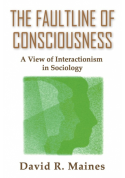 The Faultline of Consciousness
