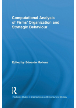 Computational Analysis of Firms' Organization and Strategic Behaviour