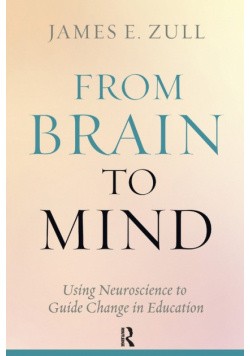 From Brain to Mind