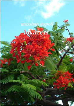 Karen