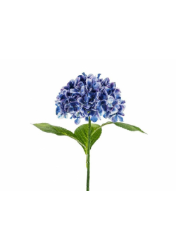 Hortensja Premium granatowa 69cm