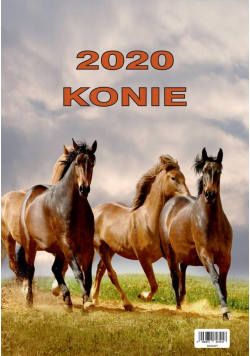 Kalendarz 2020 Wieloplanszowy Konie BESKIDY