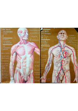 Human Anatomy Vol I i II