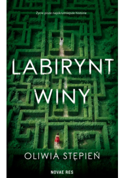 Labirynt winy