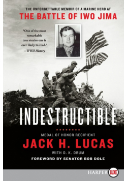 Indestructible LP