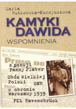 Kamyki Dawida Wspomnienia