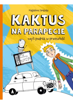Kaktus na parapecie