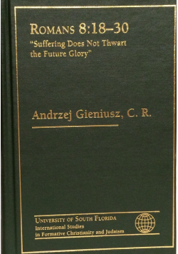 Romans 8 18 30 Suffering does not
