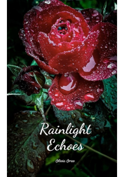 Rainlight Echoes