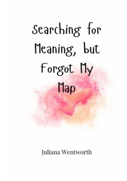 Searching for Meaning, but Forgot My Map