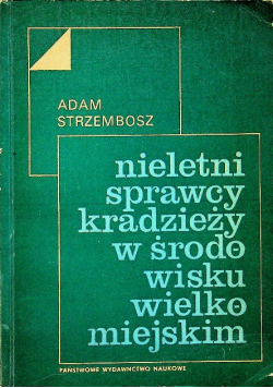 Nieletni sprawcy kradzieży w środowisku wielkomiejskim