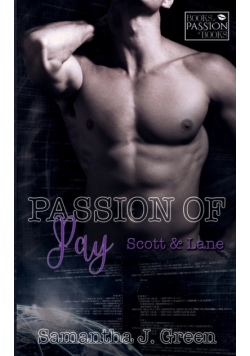 Passion of Pay