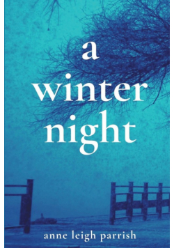 A Winter Night
