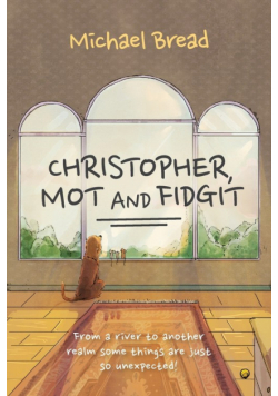Christopher Mot and Fidgit