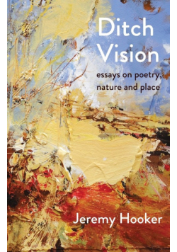 Ditch Vision