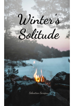 Winter's Solitude