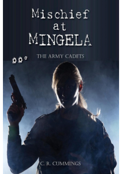 Mischief at Mingela
