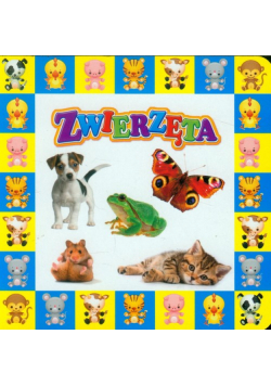 Zwierzęta