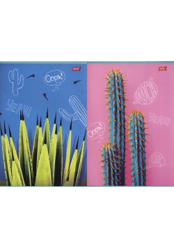 Zeszyt A4 w kratkę 60 kartek Cacti 10 sztuk mix