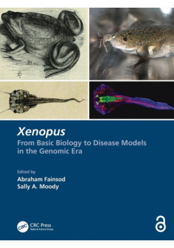 Xenopus