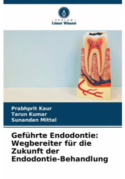 Geführte Endodontie
