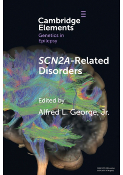 SCN2A-Related Disorders