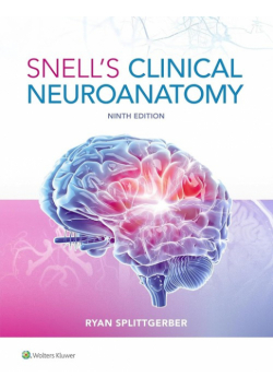 Snell's Clinical Neuroanatomy