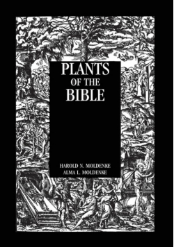 Plants Of The Bible