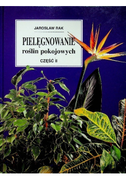 Pielęgnowanie roślin pokojowych Część II