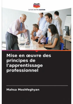 Mise en œuvre des principes de l'apprentissage professionnel