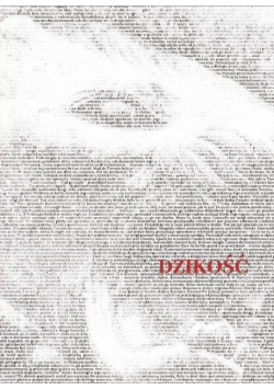 Dzikość