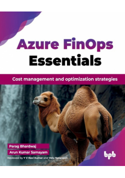 Azure FinOps Essentials