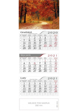 Kalendarz 2021 Trójdzielny Jesienny klimat CRUX