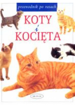 Koty i kocięta