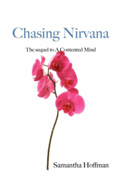 Chasing Nirvana