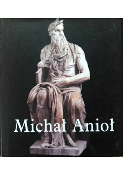 Michał Anioł
