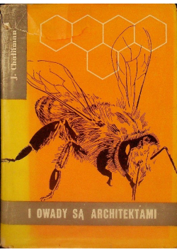 I owady są architektami